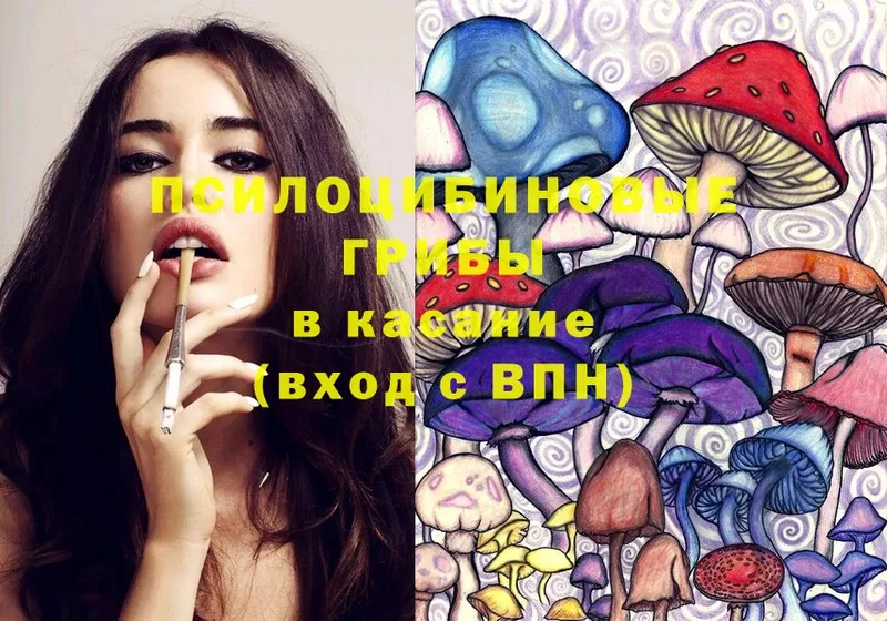 Галлюциногенные грибы Magic Shrooms  цены   Миллерово 